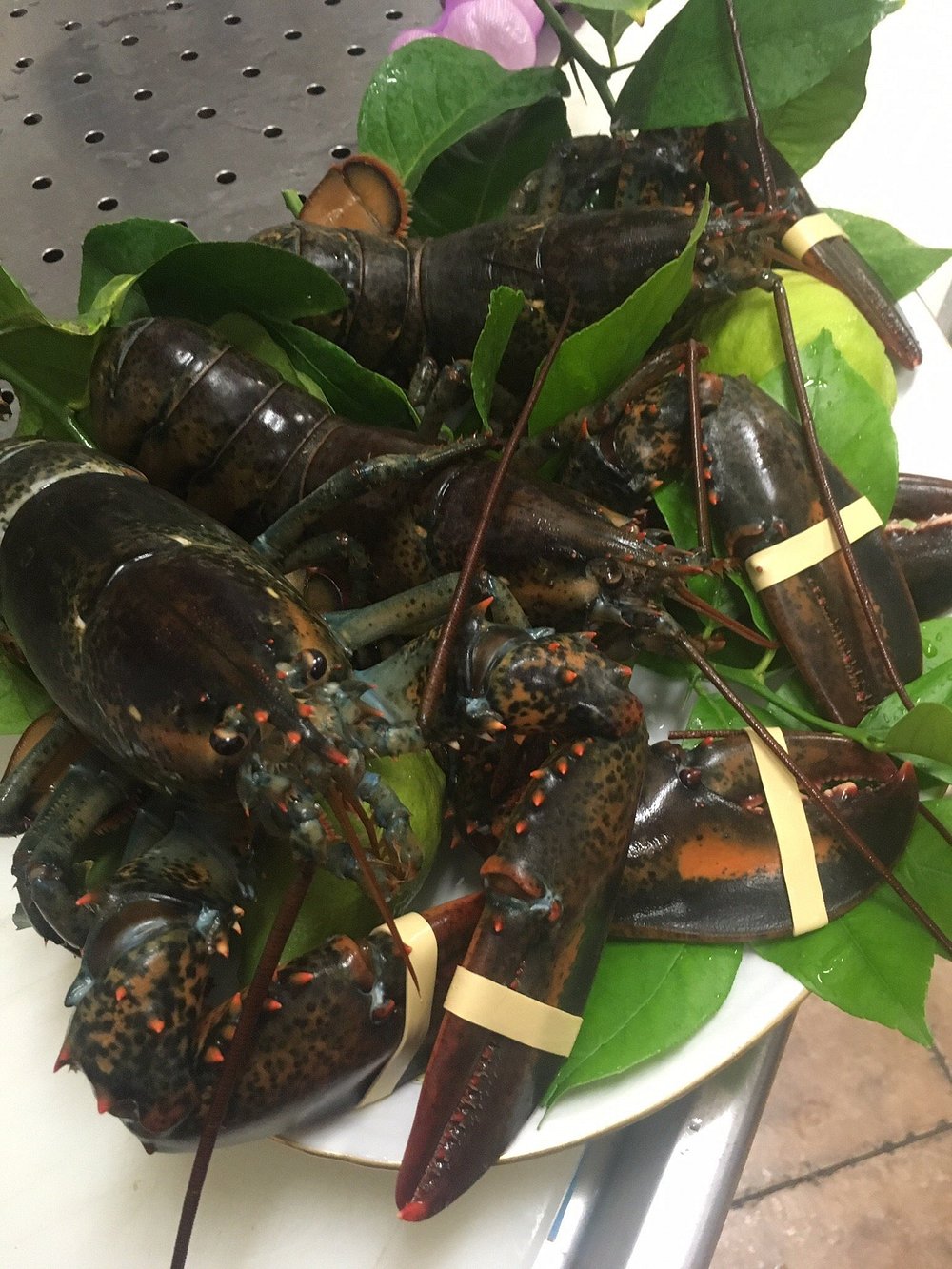 Restaurante Casa Palaciega 9